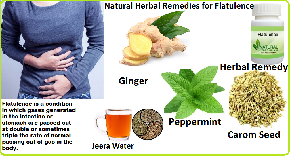 Herbal Remedies for Flatulence