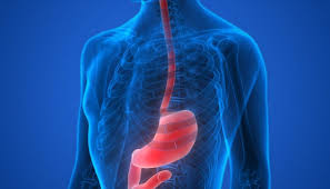 Latest Treatment Guidelines On Achalasia Management & Diagnosis As Per