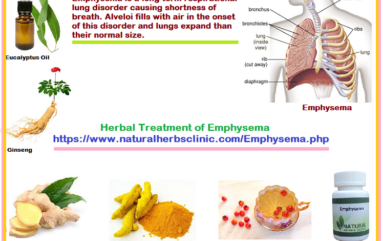 Emphysema-Herbal-Treatment-Diet-and-Lifestyle