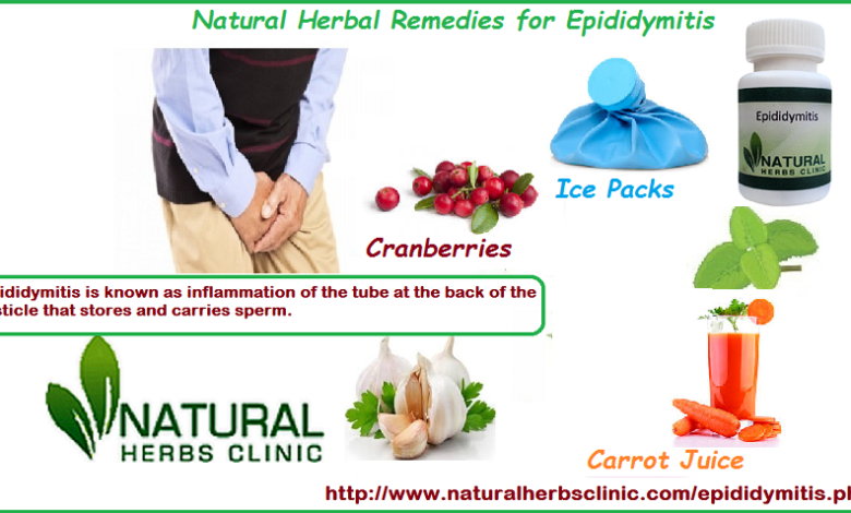 Natural-Herbal-Remedies-for-Epididymitis