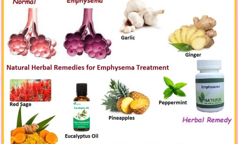 Natural-Herbal-Remedies-for-Emphysema-Treatment-and-Manage-with-Symptoms-Naturally-1024x742
