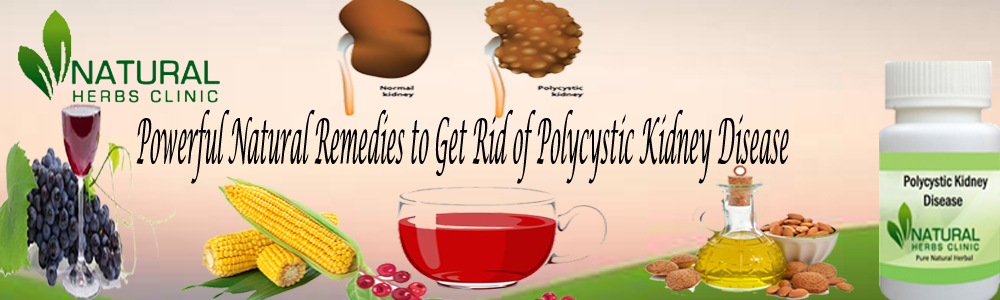 Natural Remedies for Polycystic Kidney Diseases