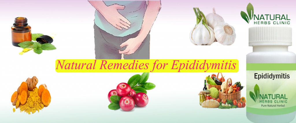 Natural Remedies for Epididymitis Natural Remedies for Epididymitis