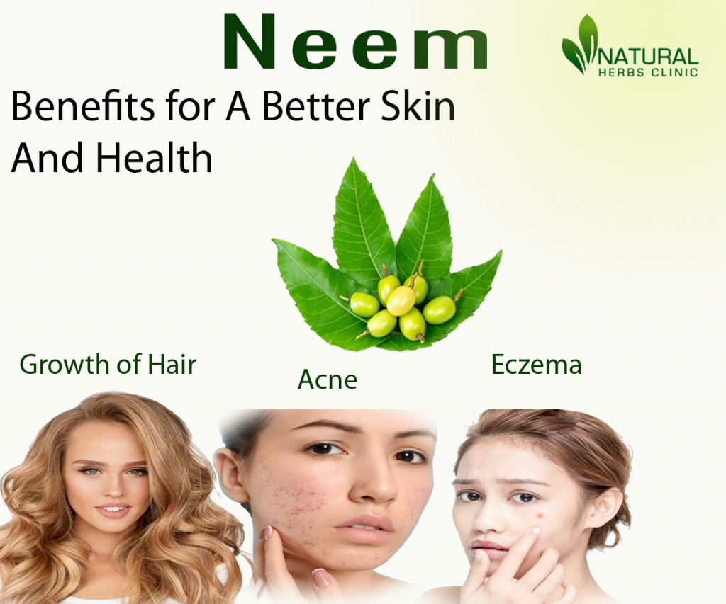 Neem Benefits for A Better Skin And Health
