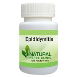 Herbal Supplements for Epididymitis