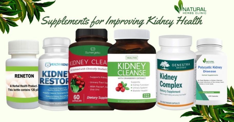 12 Supplements That Can Help Improve Kidney Health img