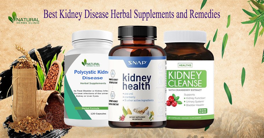 10 Best Kidney Disease Herbal Supplements and Remedies img