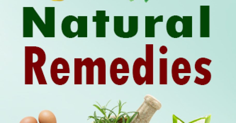 Natural Health Remedies: Embracing the Power of Herbal Healing Way img