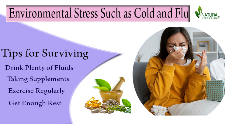 Environmental Stress Such as Cold and Flu