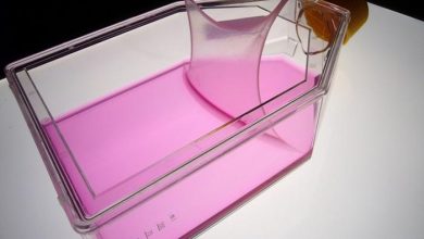 Treating rare skin diseases with transplants