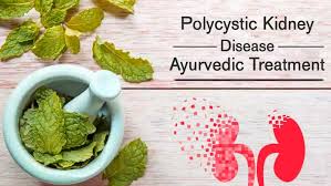 polycystic-kidney-disease-natural-treatment-at-home 